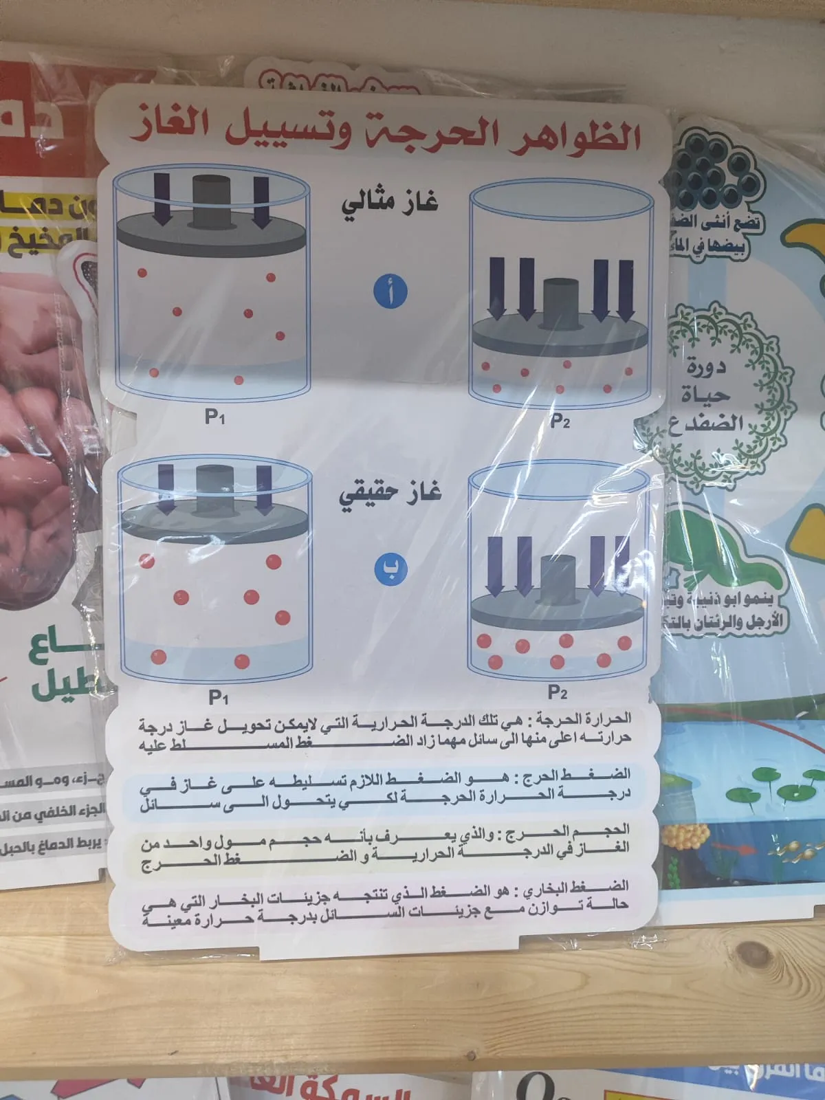 الظواهر الحرجة
