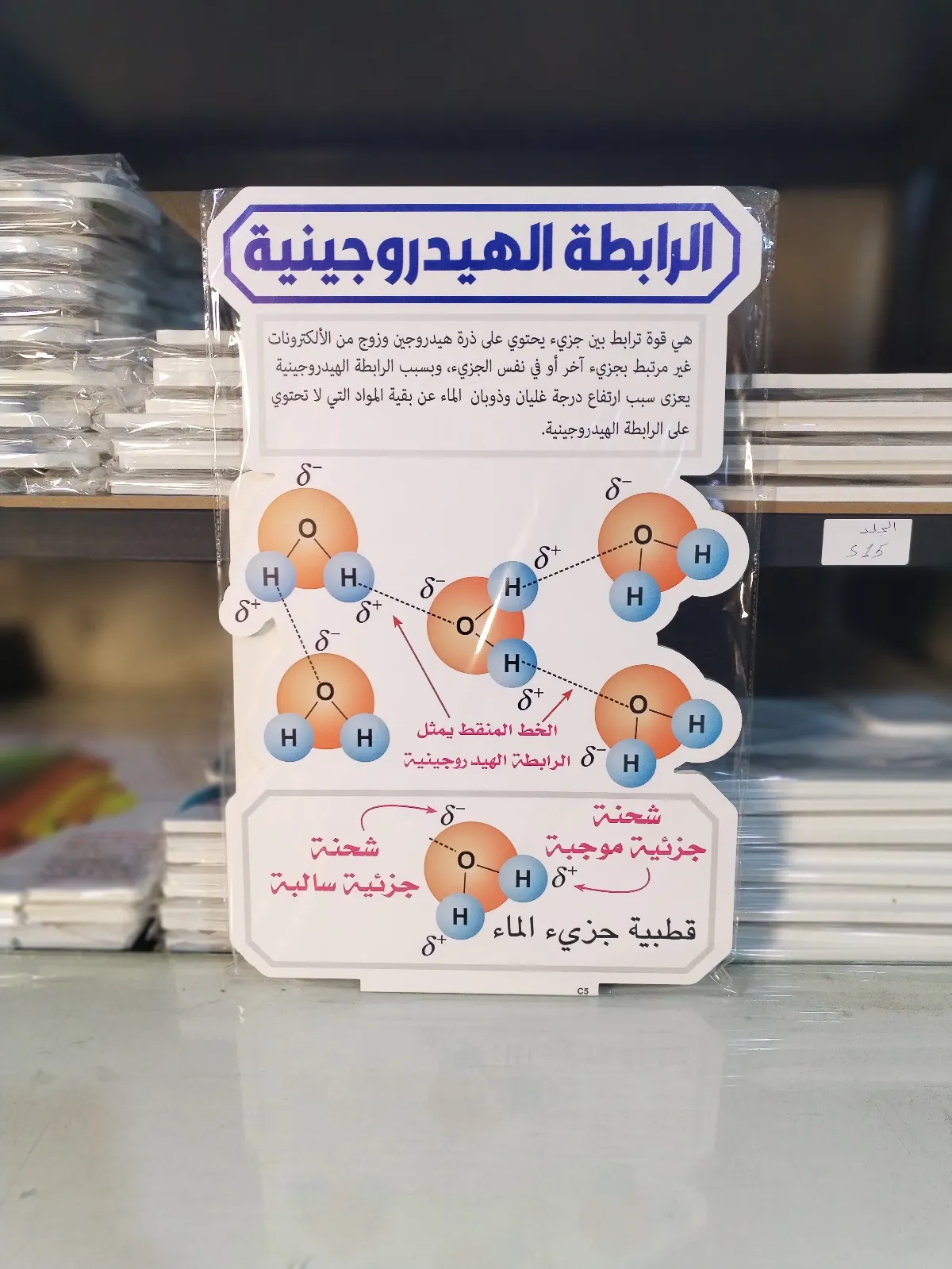 الرابطة الهيدروجينية