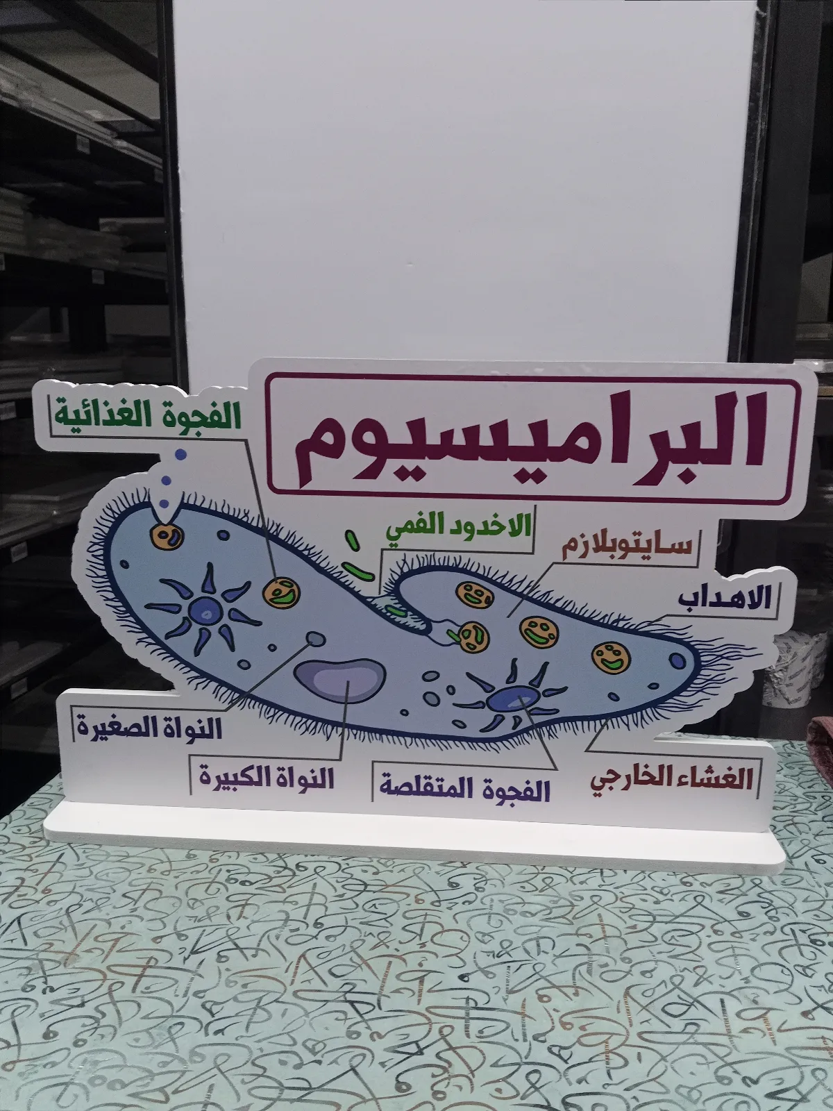 البرامسيوم