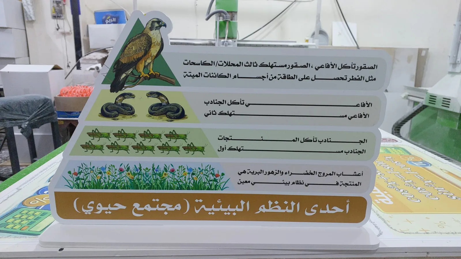 احدى النظم البيئية