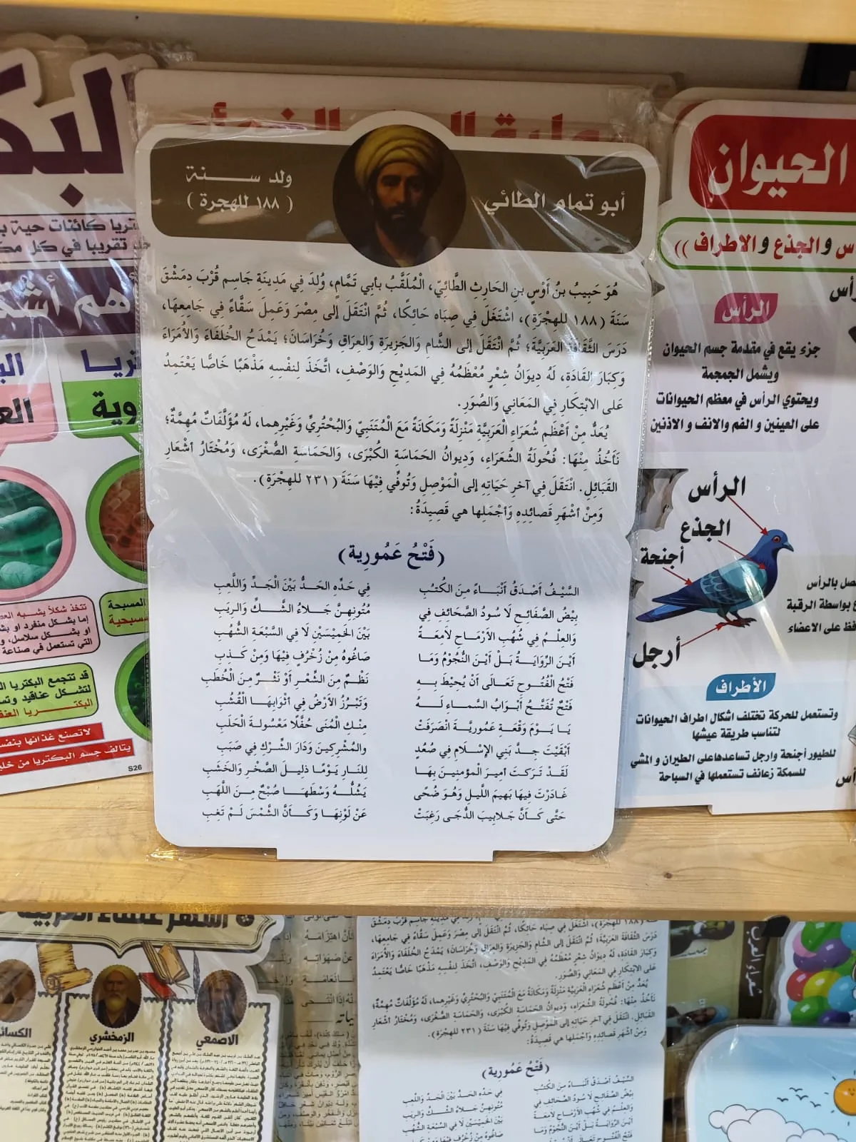 ابو تمام الطائي