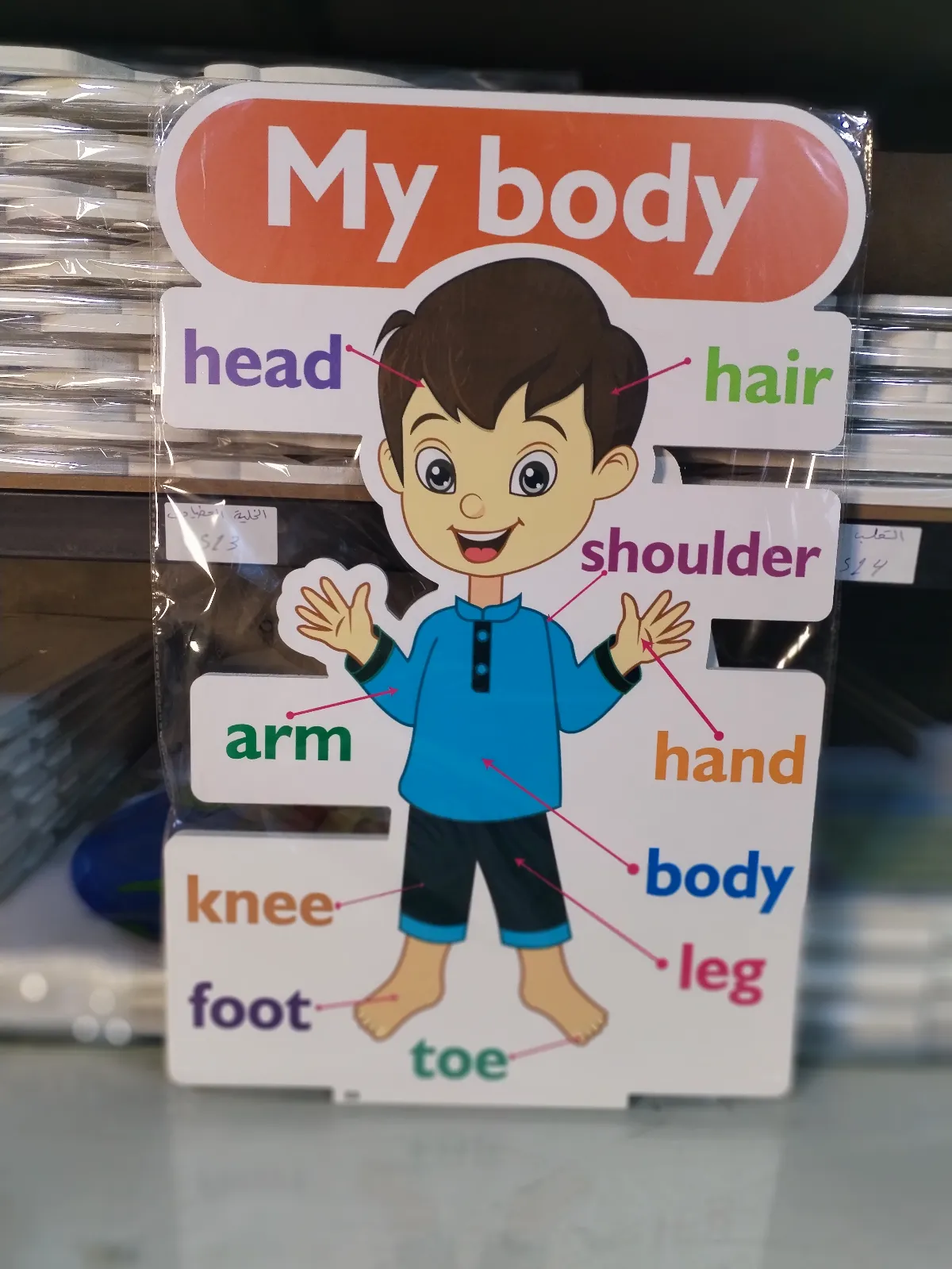 my body