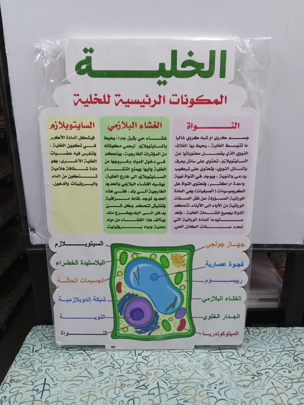 الخلية